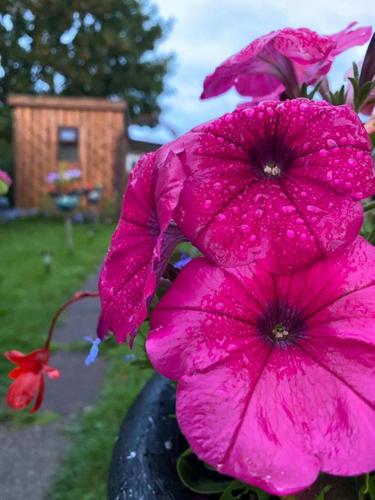 Birds And The Bees Summer House Endon Εξωτερικό φωτογραφία